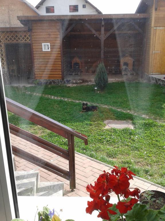 Pension Piatra Craiului Alsómoécs Kültér fotó