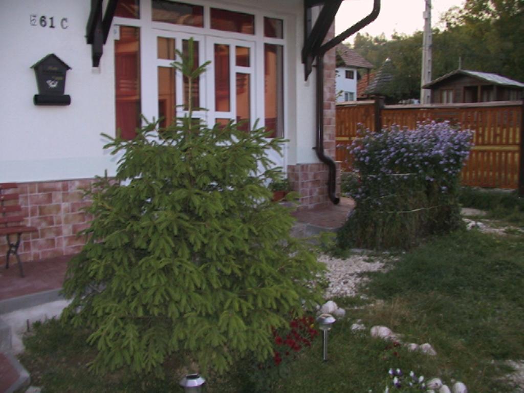 Pension Piatra Craiului Alsómoécs Kültér fotó